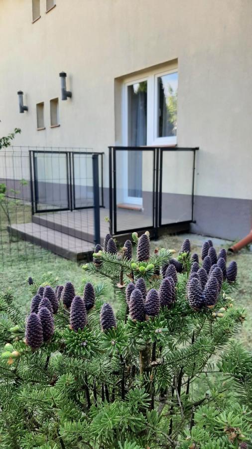 Homestay Mazowiecka Jantar